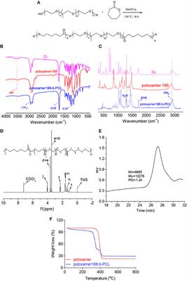 Preparation of Poloxamer188-b-PCL and Study on in vitro Radioprotection Activity of Curcumin-Loaded Nanoparticles